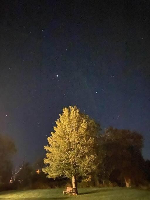 Holly Tree Retreat Located In Beautiful Luray, Va. Villa Ngoại thất bức ảnh