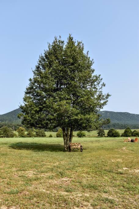Holly Tree Retreat Located In Beautiful Luray, Va. Villa Ngoại thất bức ảnh