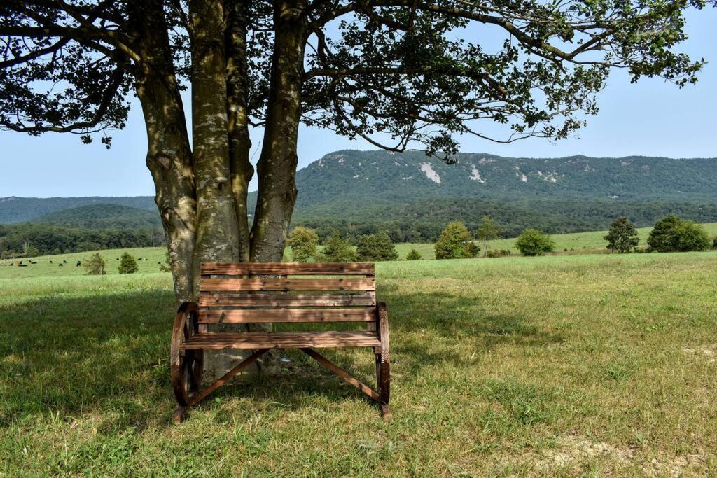 Holly Tree Retreat Located In Beautiful Luray, Va. Villa Ngoại thất bức ảnh