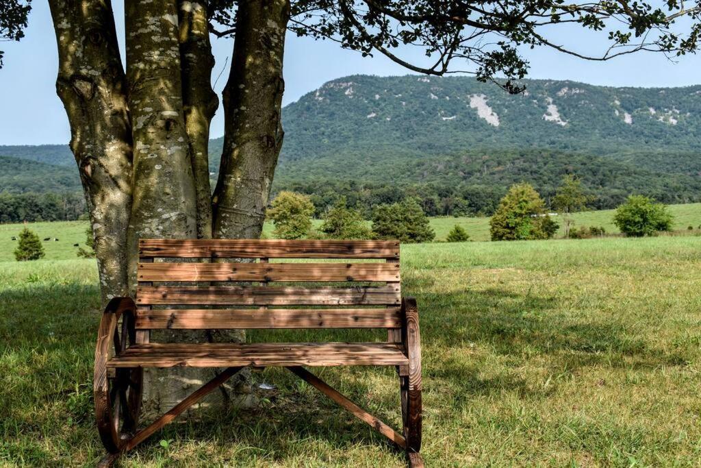 Holly Tree Retreat Located In Beautiful Luray, Va. Villa Ngoại thất bức ảnh